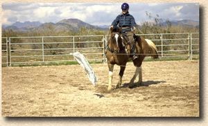 Lasell and Scout, Wickenburg, AZ, January 2003